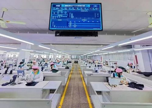 平湖躋身全省“兩化”融合20強，數字文化創意內容應用服務嶄露頭角